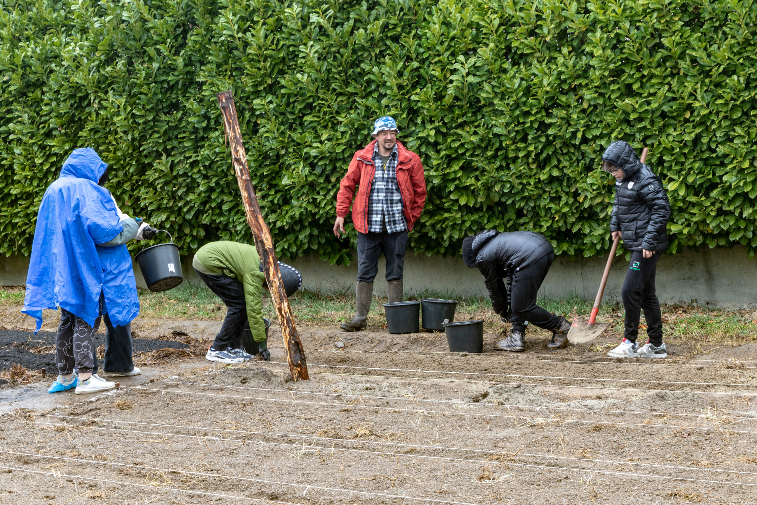 Pisogne (BS), successo del progetto “Radici di Comunità”: Auser con gli studenti per realizzare un parco agroforestale