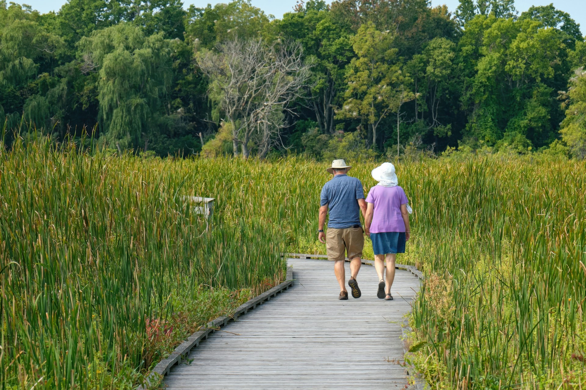 Lugo (RA), tante iniziative per il progetto “Una giornata da raccontare”